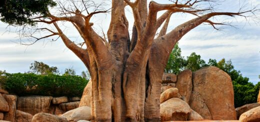 One Day in Ampefy: A Complete 24-Hour Itinerary from Tana — Madagascar