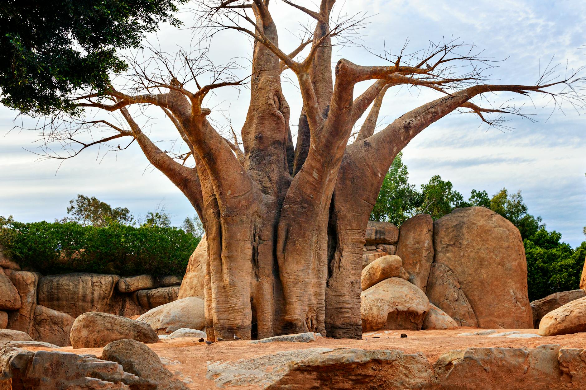 One Day in Ampefy: A Complete 24-Hour Itinerary from Tana — Madagascar