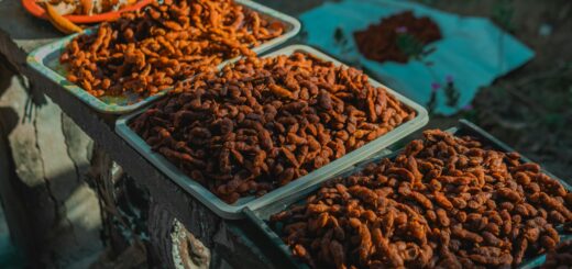 Street Food on "The Bord": A Guide to Mahajanga's Vibrant Nightlife & Eats — Madagascar