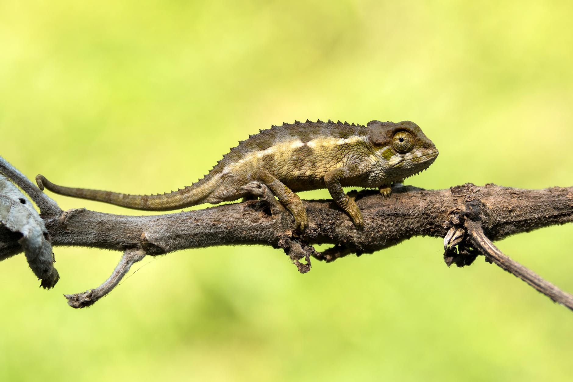 Top 15 des activités à Diego Suarez (Antsiranana) : Le guide ultime des expériences (2026) — Madagascar