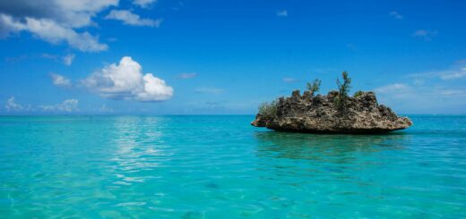 Top 10 Wildlife Experiences in Tolagnaro: From Whales to Dancing Sifakas — Madagascar