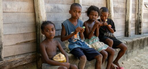 What to Eat in Ampefy: The Complete Guide to Local Food, Tilapia Dishes & Culinary Experiences in 2026 — Madagascar
