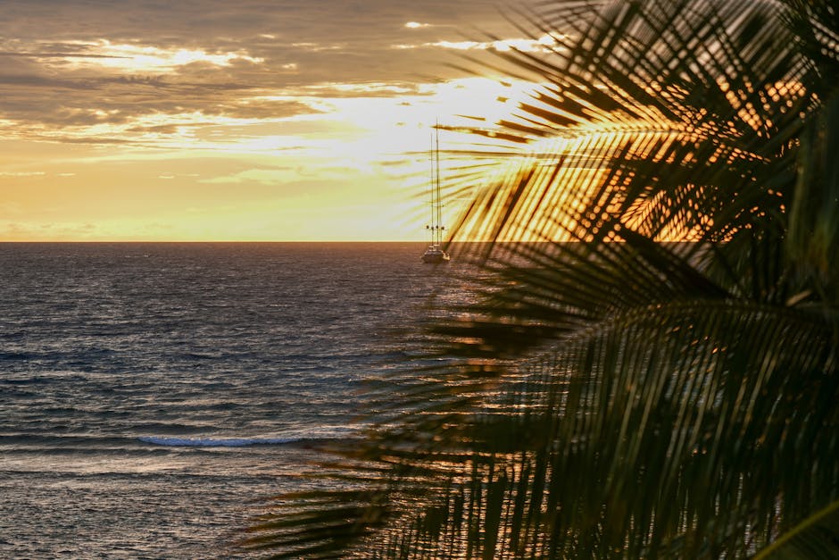 where to stay in nosy be madagascar best areas resorts and hotels for every budget 2026 guide — Madagascar