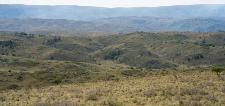 Madagascar - Maps.me vs Google Offline vs OsmAnd for Madagascar: Best Option 2026