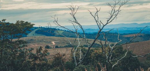 Madagascar - Masoala Peninsula Rainforest: The Last Untouched Jungle in Madagascar