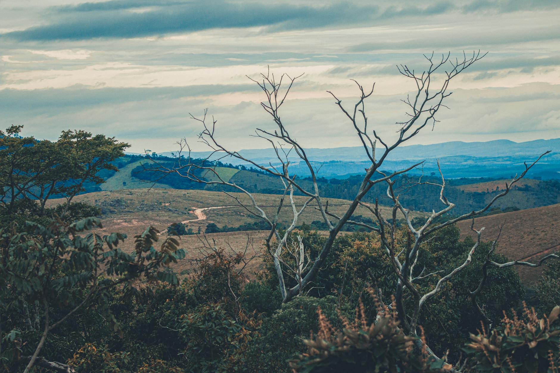 Masoala Peninsula Rainforest: The Last Untouched Jungle in Madagascar — Madagascar