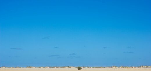 Madagascar - Medical Evacuation from Madagascar: What It Costs and Why Insurance Matters