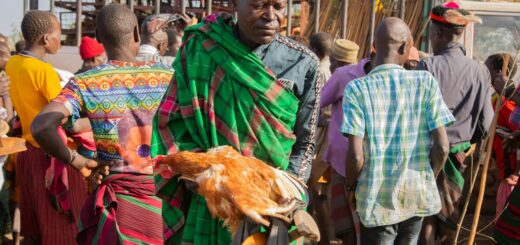 Madagascar - Monthly Cost of Living in Madagascar for Expats: 2026 Breakdown