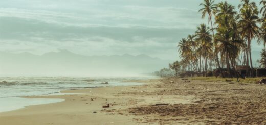Madagascar - MVola and Orange Money in Madagascar: Mobile Payments Explained for Travellers