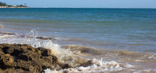 Tranquil white sand beach at Ifaty, Madagascar — turquoise waters and gentle waves