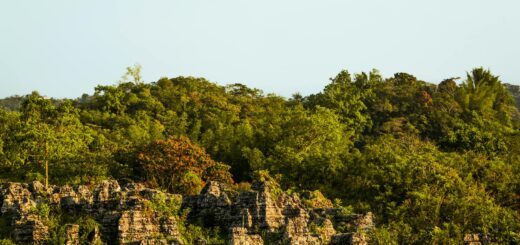 Madagascar - Park Entry Fees Madagascar 2026: Full Price List by Reserve