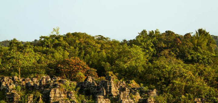 Madagascar - Park Entry Fees Madagascar 2026: Full Price List by Reserve