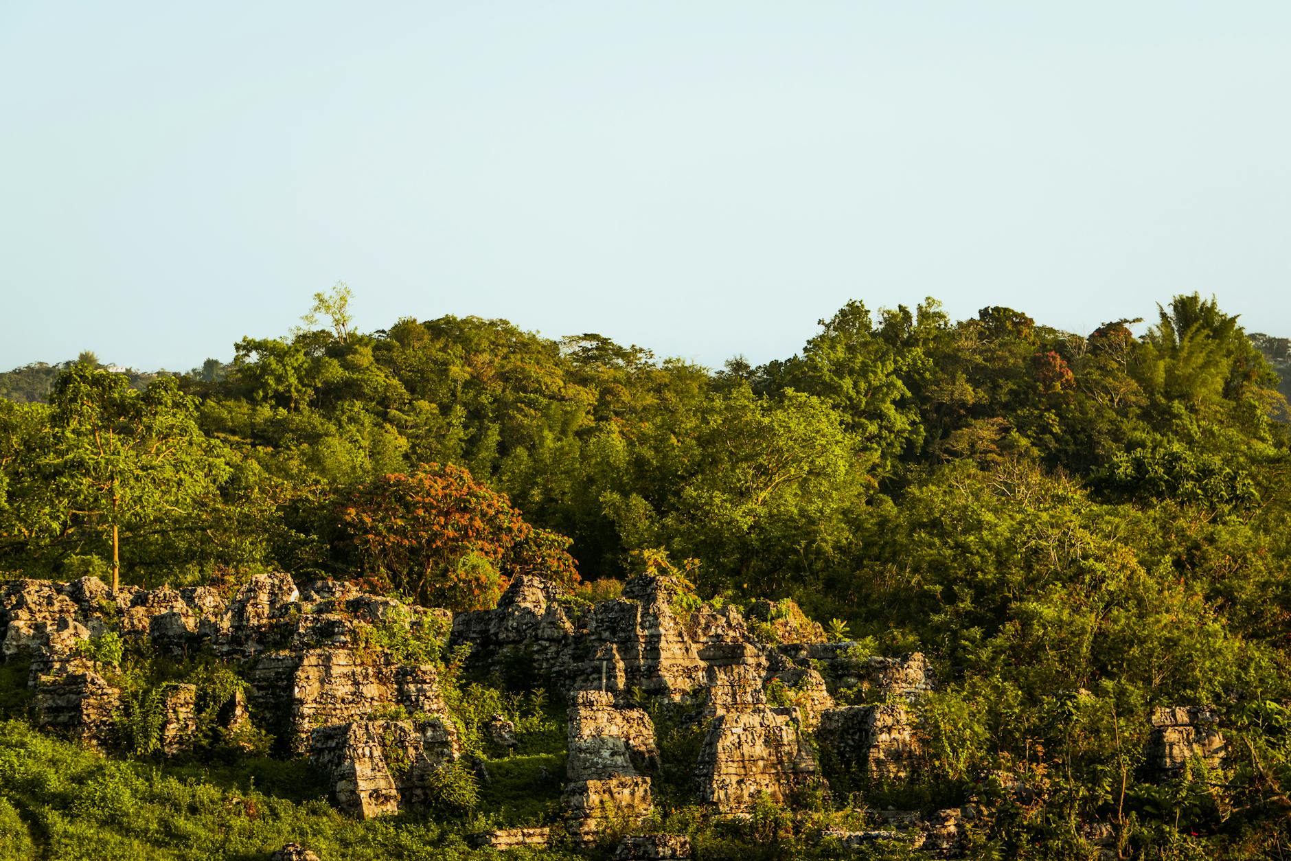 Park Entry Fees Madagascar 2026: Full Price List by Reserve — Madagascar