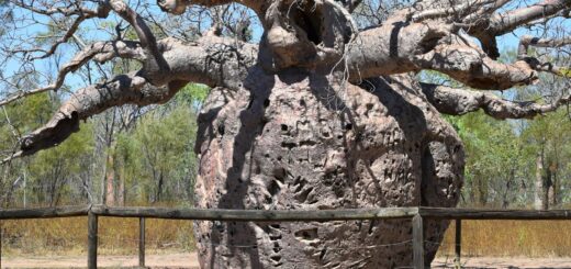 Madagascar - Paying the Vazaha Price: How to Avoid Overcharging as a Tourist