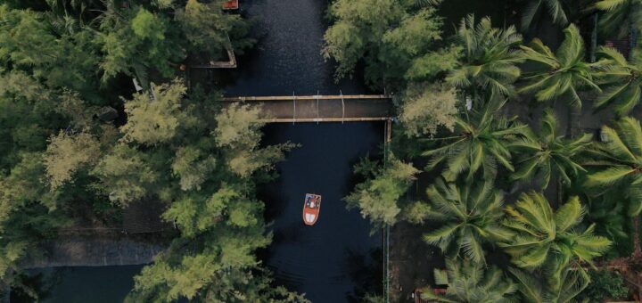 Top-down view of a serene canal surrounded by lush tropical palm trees, featuring boats in Kerala, India.