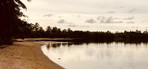 Peaceful beach with palm trees and calm water in Fenerive, Madagascar