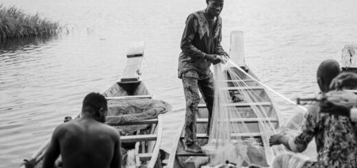 What to Eat in Ampefy: The Complete Guide to Local Food, Tilapia Dishes & Culinary Experiences in 2026