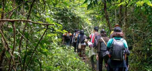 Hikers with backpacks on a tropical forest trail — essential gear for Madagascar travel