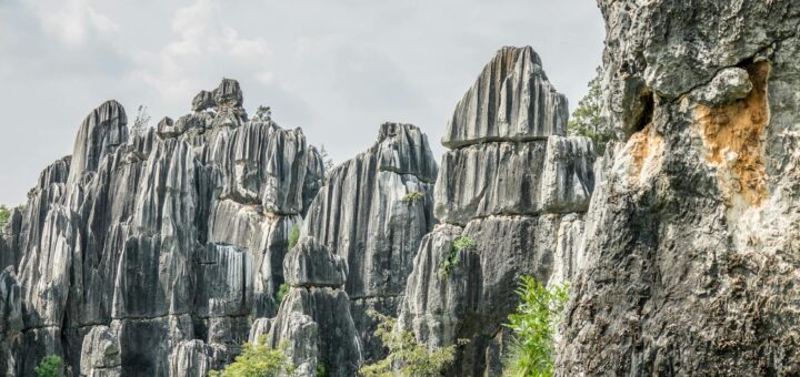 Discover stunning limestone formations rising majestically in a natural stone forest.