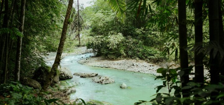 Tropical river flowing through lush green jungle — water safety in Madagascar