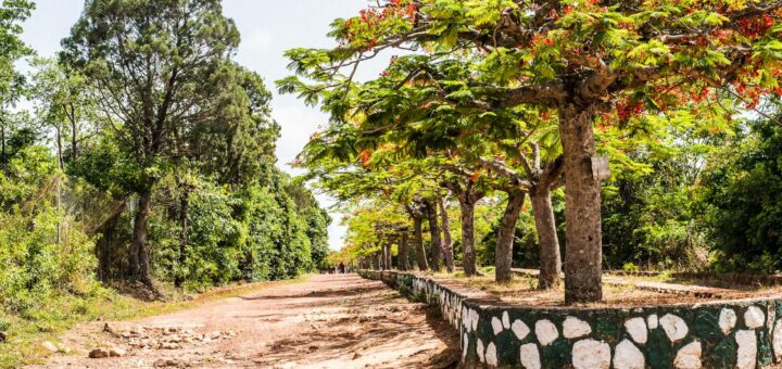 Madagascar - Plane vs Bus vs 4WD: Best Method for Each Madagascar Route