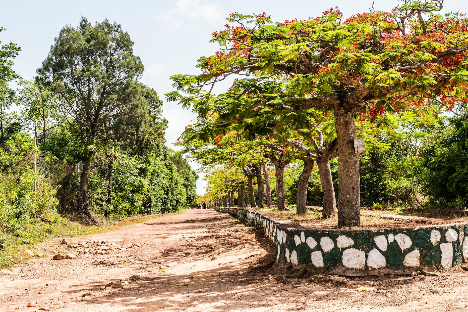 Plane vs Bus vs 4WD: Best Method for Each Madagascar Route — Madagascar