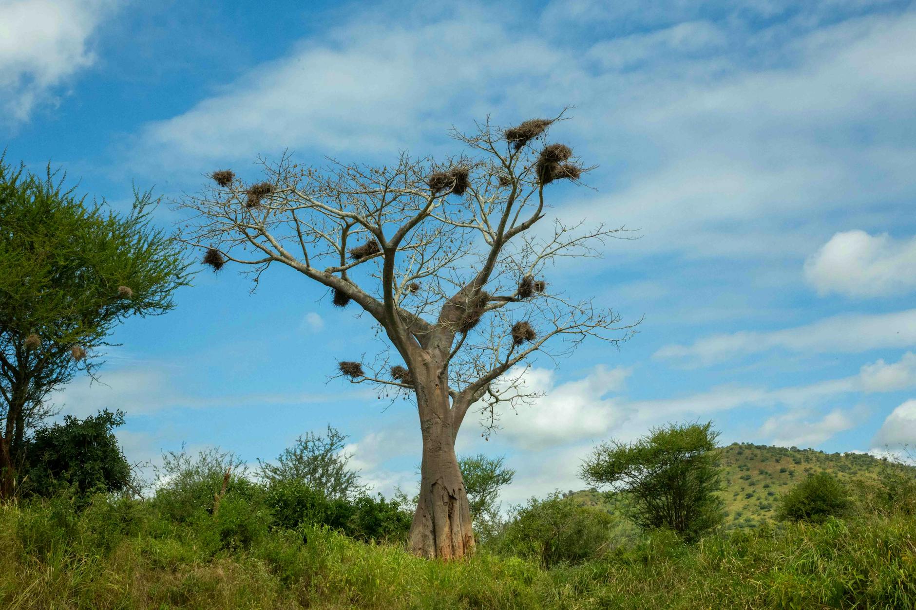 Planning a Nature Trip to Madagascar: Complete Start-to-Finish Checklist — Madagascar