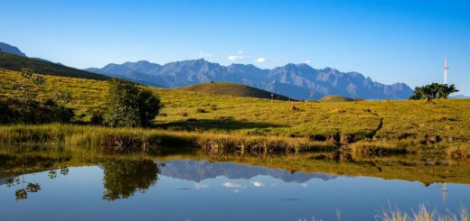 Madagascar - Quad Biking and ATV Tours in Madagascar: Best Operators 2026