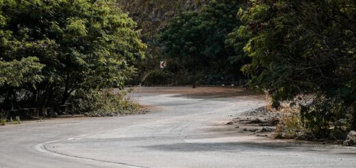 Madagascar - Ranomafana Day Trip from Fianarantsoa: Complete Transport Guide