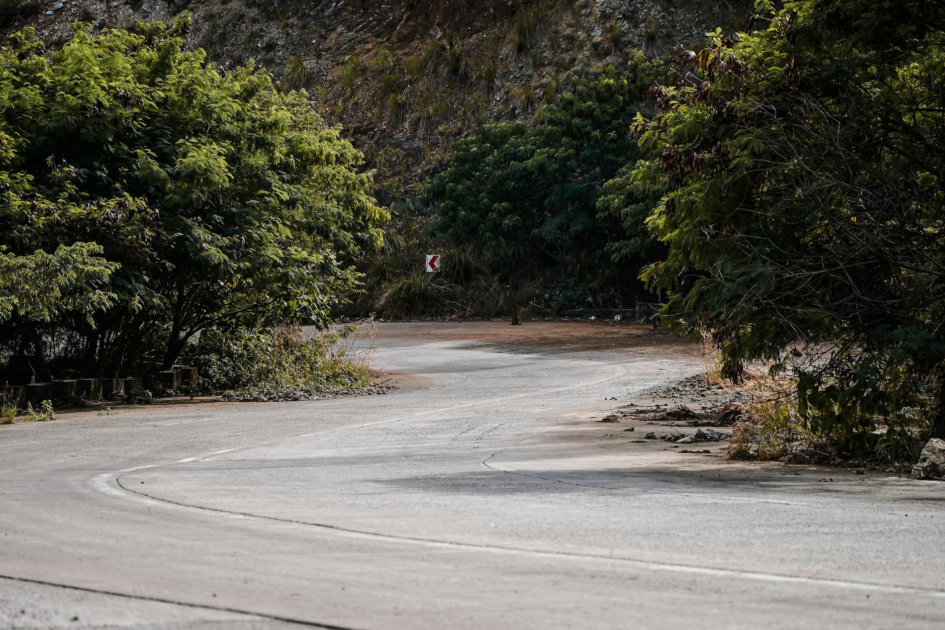 Ranomafana Day Trip from Fianarantsoa: Complete Transport Guide — Madagascar