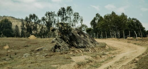 Madagascar - RN7 Road Trip Guide: Antananarivo to Fort Dauphin Complete 2026
