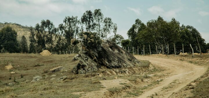 Madagascar - RN7 Road Trip Guide: Antananarivo to Fort Dauphin Complete 2026