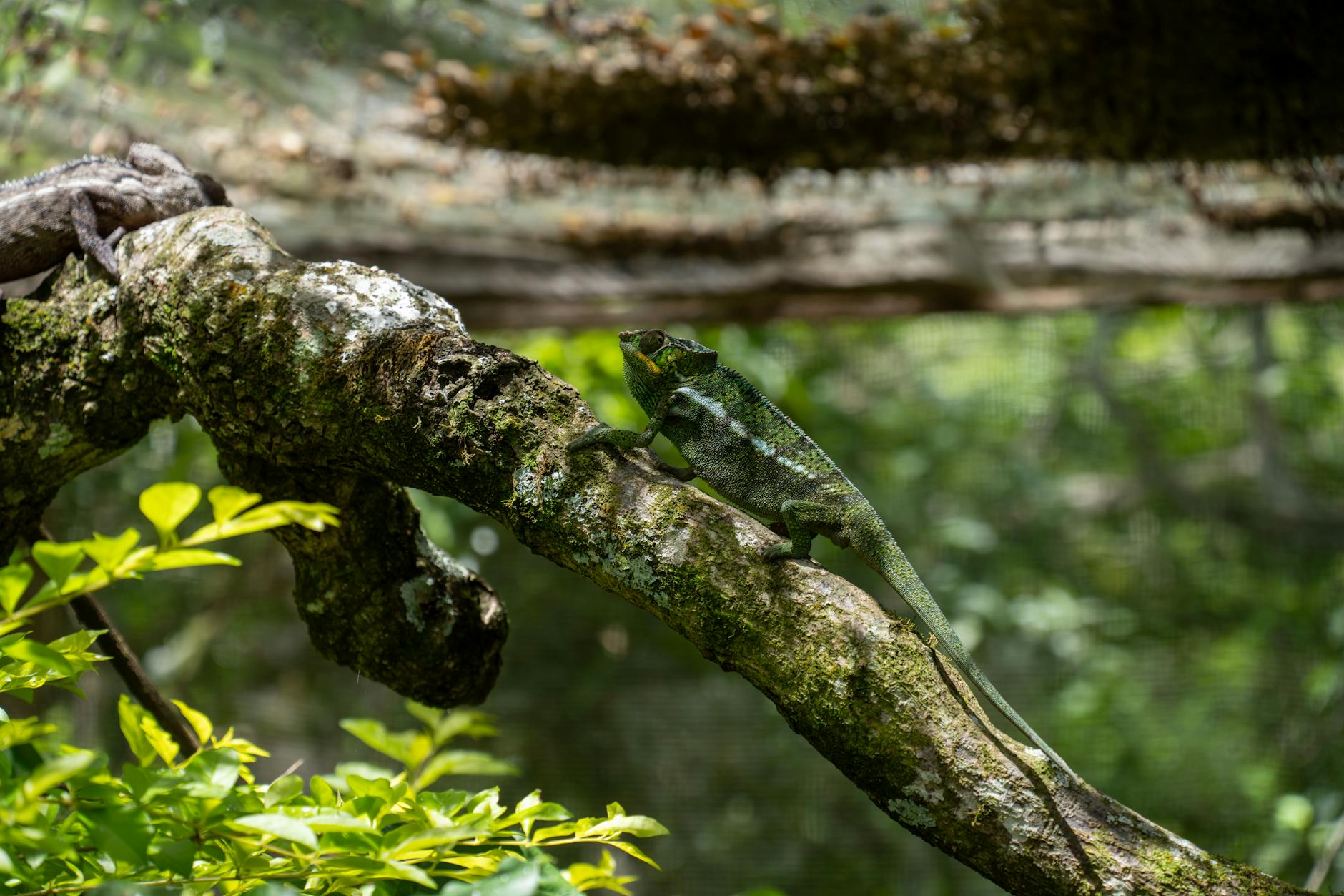 Safest Cities for Solo Travelers in Madagascar: Ranked 2026 — Madagascar