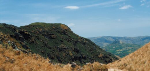 Madagascar - Sakalava Kingdom: History, Tombs and Where to See Their Heritage