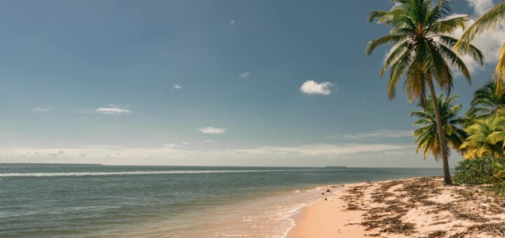 Madagascar - Scuba Diving in Diego Suarez: Bay Sites, Wrecks and Visibility Guide