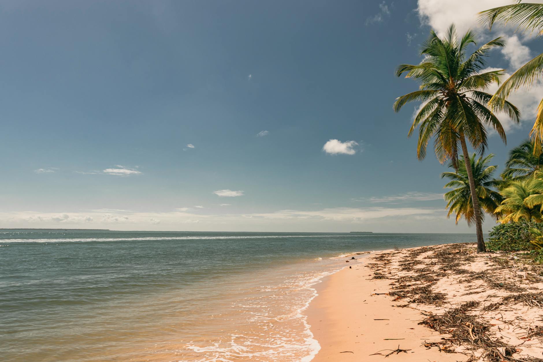Scuba Diving in Diego Suarez: Bay Sites, Wrecks and Visibility Guide — Madagascar