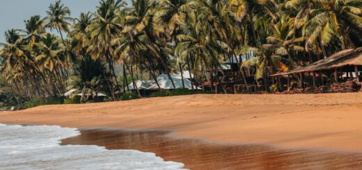 Madagascar - Sea Turtles in Madagascar: Nesting Beaches and Best Season 2026