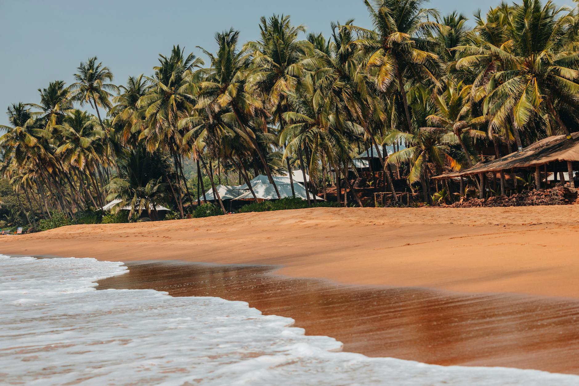 Sea Turtles in Madagascar: Nesting Beaches and Best Season 2026 — Madagascar