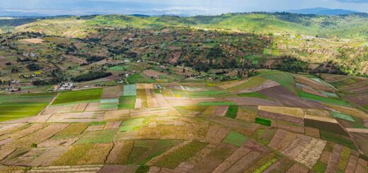 Madagascar - SIM Cards at Madagascar's Regional Airports: What's Available Where