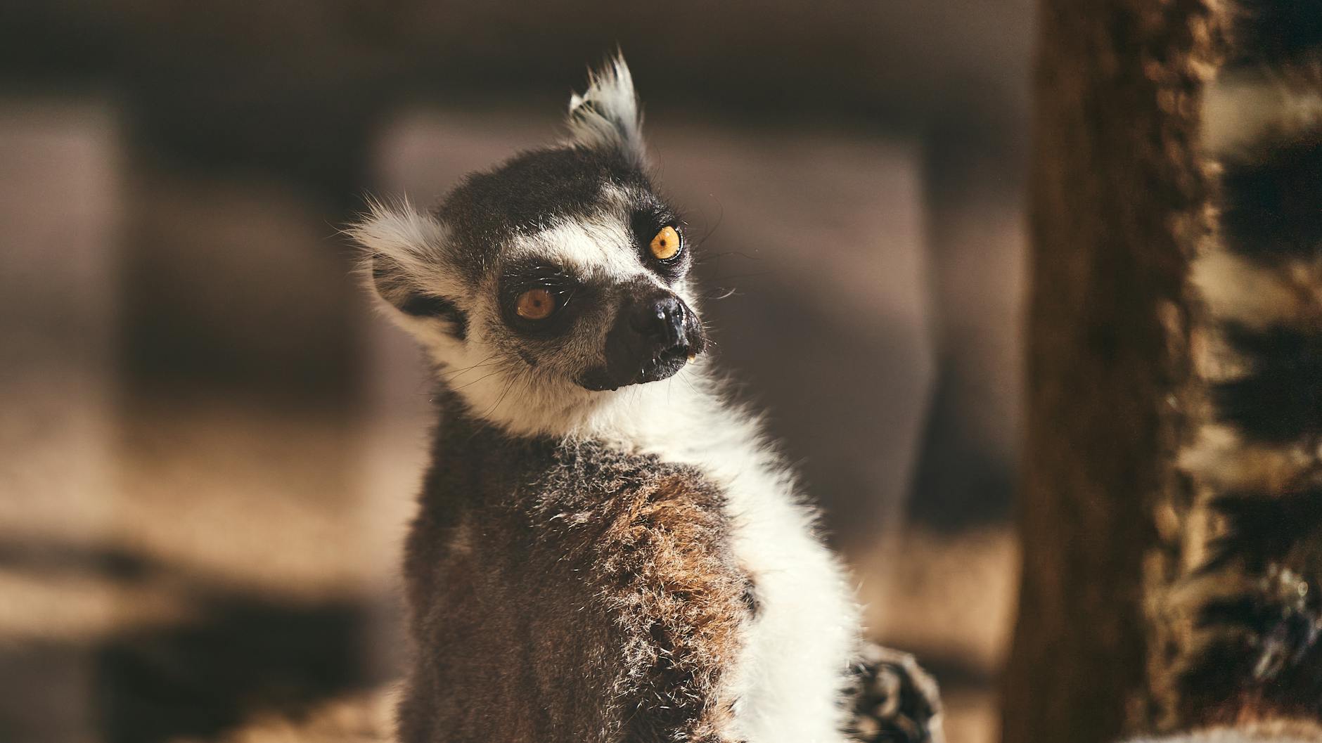 Surfing in Madagascar: Best Breaks, Seasons and Board Rental Guide — Madagascar