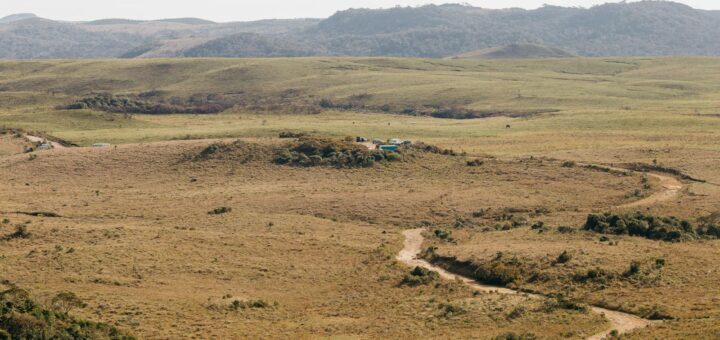 Madagascar - Telma vs Airtel for Rural Travel Madagascar: Which Has Better Coverage