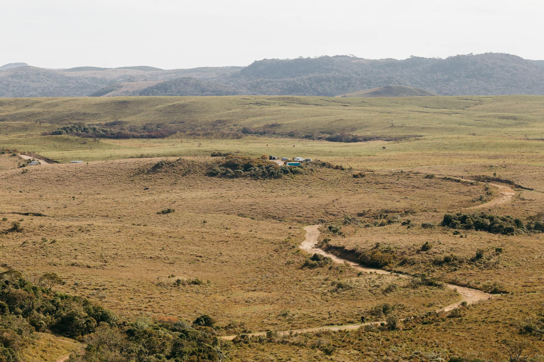 Telma vs Airtel for Rural Travel Madagascar: Which Has Better Coverage — Madagascar