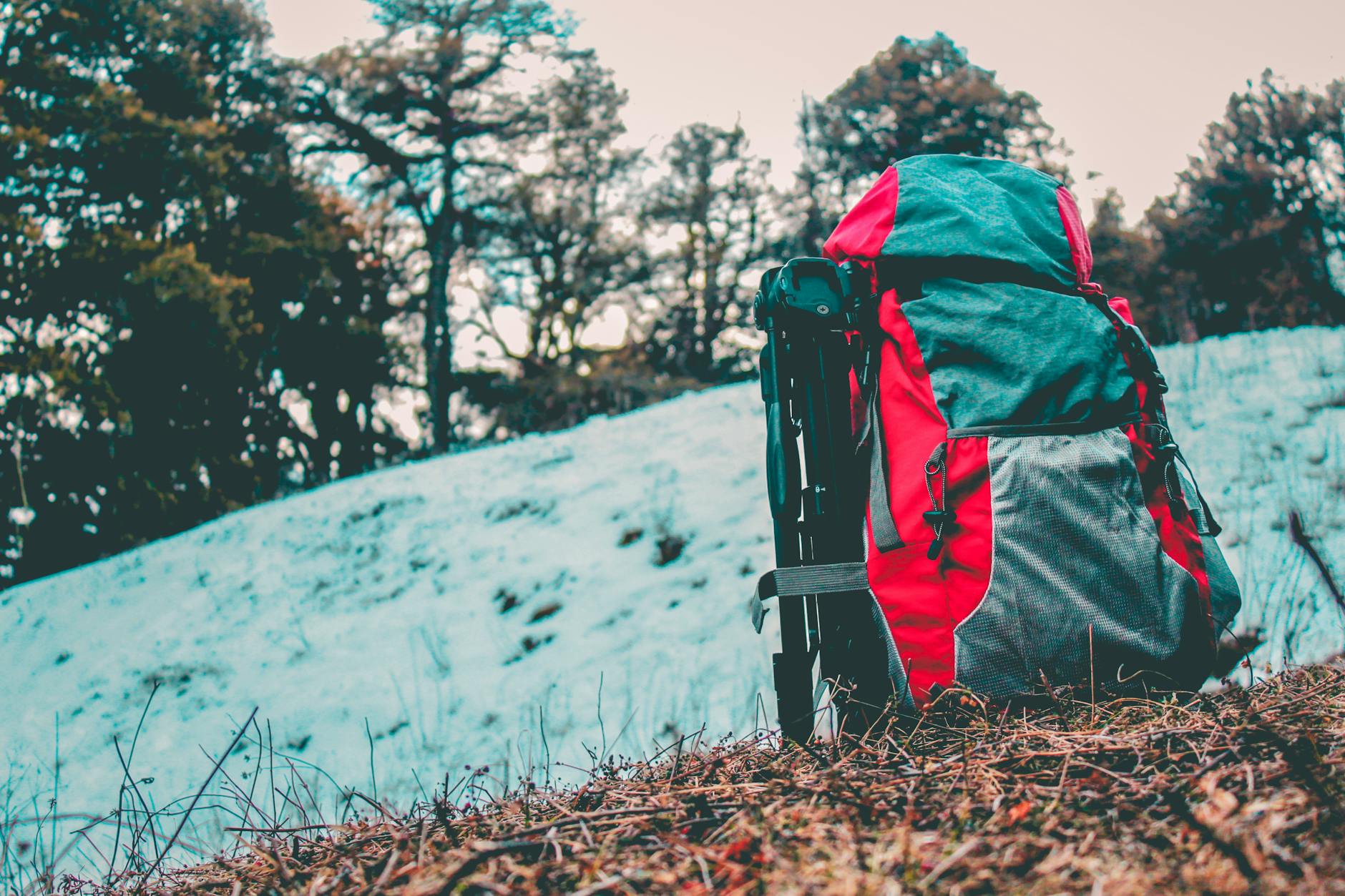 Travel Tech Packing List for Madagascar: Gadgets Worth Bringing 2026 — Madagascar