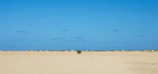 Madagascar - Traveler's Diarrhea in Madagascar: Prevention, Treatment and Recovery