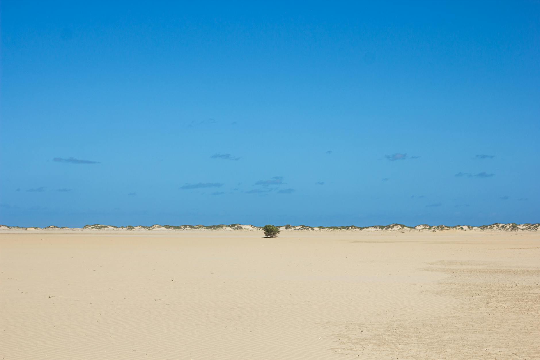 Traveler's Diarrhea in Madagascar: Prevention, Treatment and Recovery — Madagascar