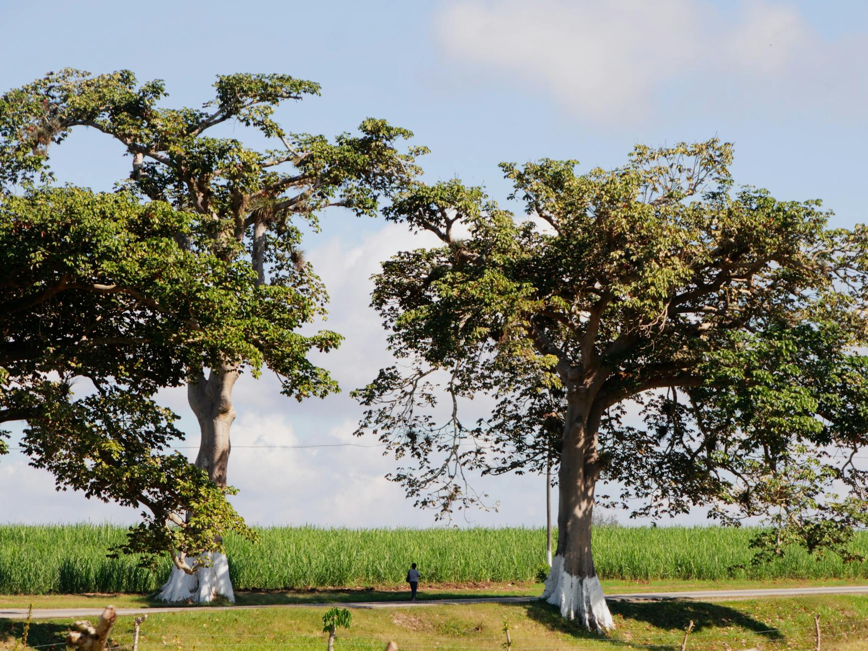 Trip Planning Tools for Madagascar: Apps That Work Offline 2026 — Madagascar