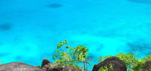 Madagascar - Whale Watching in Madagascar: Best Boats, Spots and Season Guide