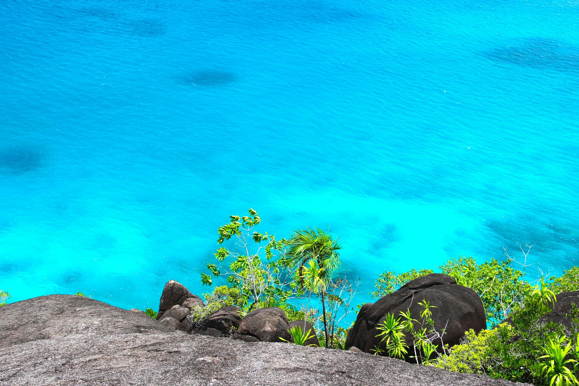 Whale Watching in Madagascar: Best Boats, Spots and Season Guide — Madagascar