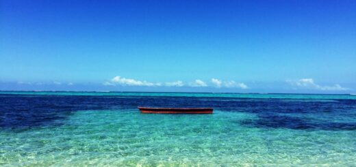 Madagascar - Whale Watching in Madagascar: Île Sainte-Marie Season Guide 2026