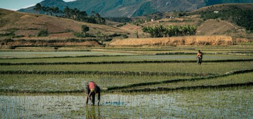 Madagascar - Where to Stay in Diego Suarez by Area: Neighborhood Guide 2026